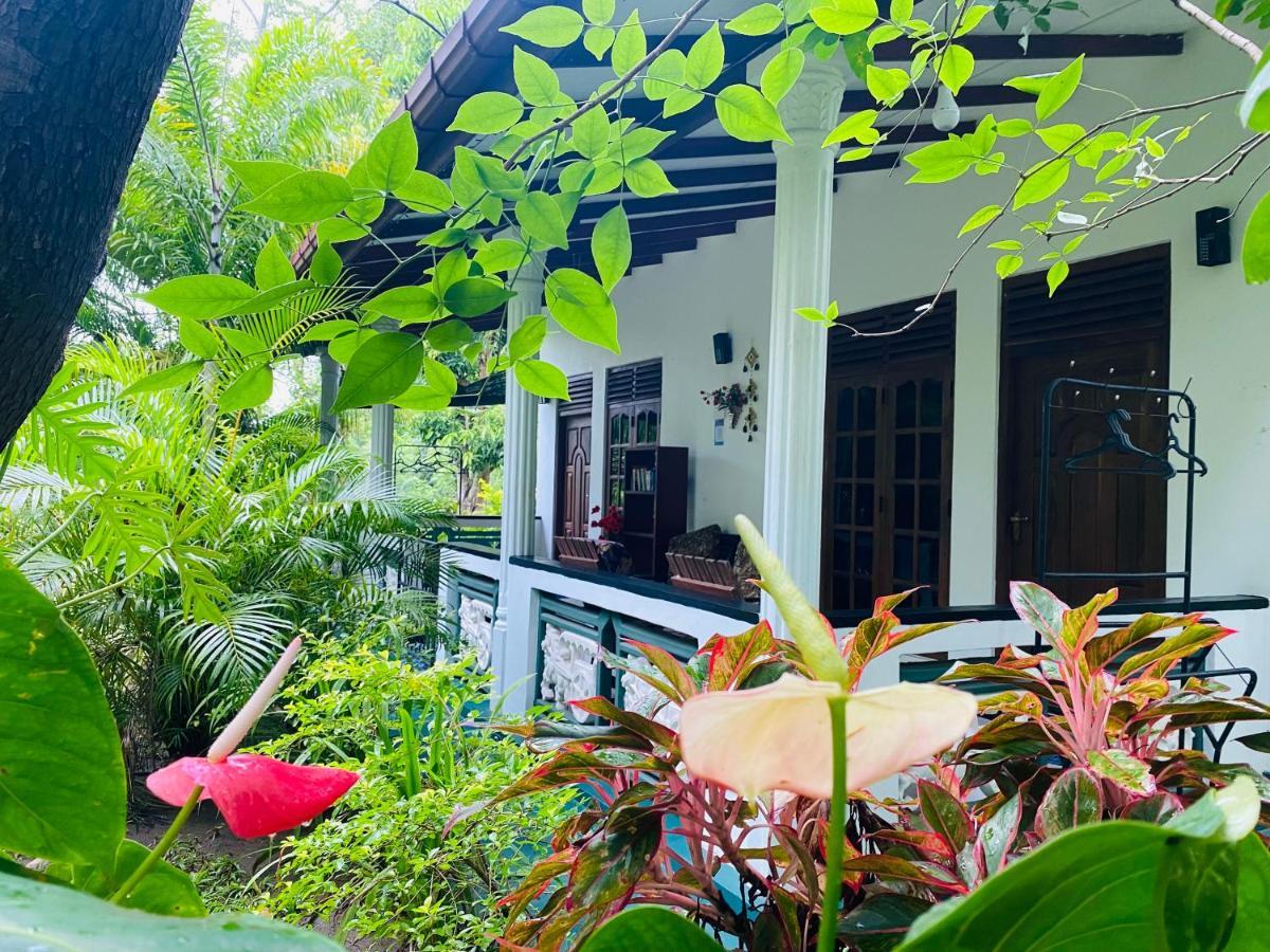 Sigiri Saman Home Stay Сигирия Екстериор снимка