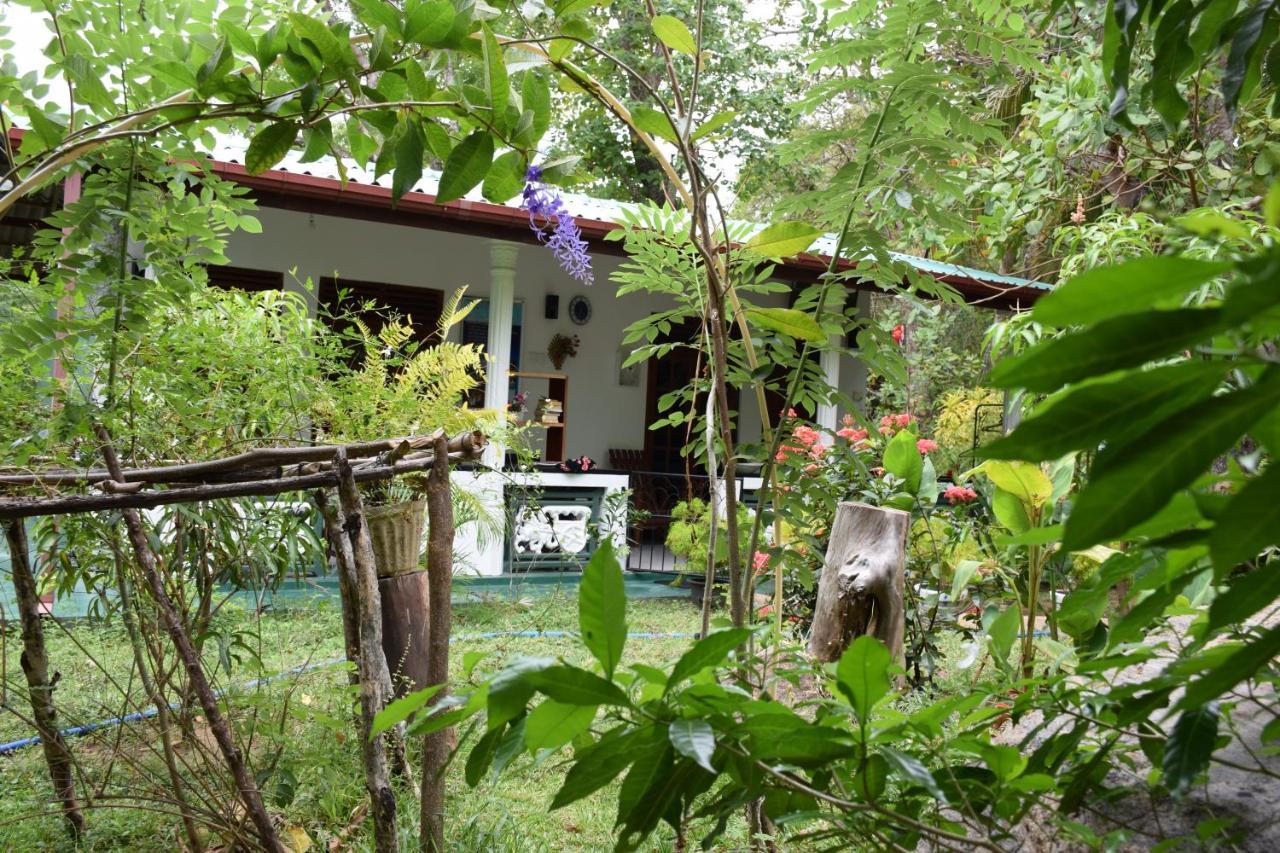 Sigiri Saman Home Stay Сигирия Екстериор снимка