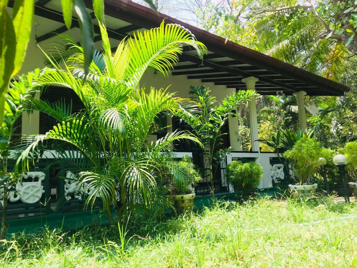 Sigiri Saman Home Stay Сигирия Екстериор снимка